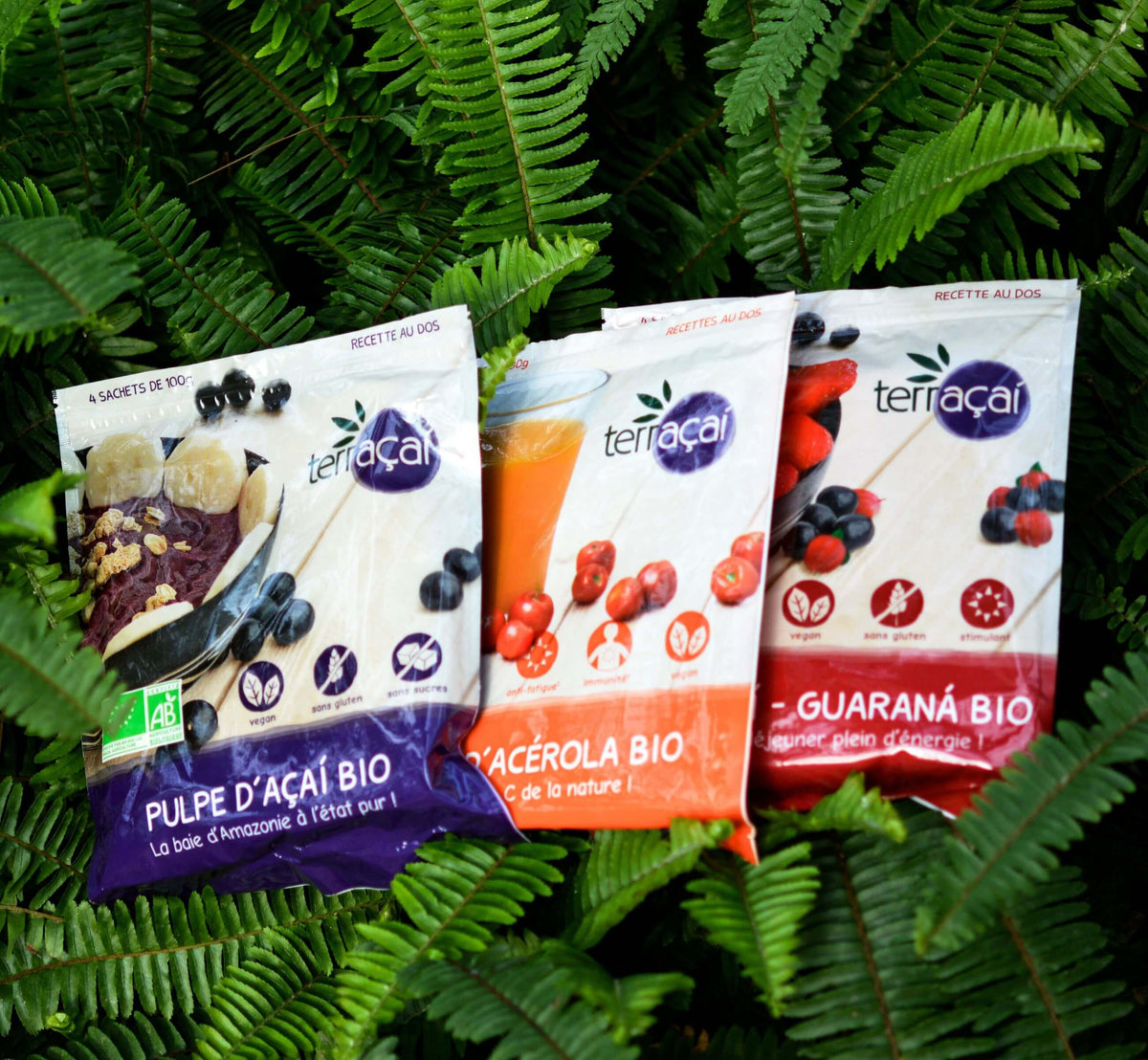 <p><strong>Expansão e Inovações</strong></p><p>Nossa! está em rápida expansão, oferecendo polpa congelada em formato industrial, além da marca Terraçai para lojas de produtos naturais.</p>